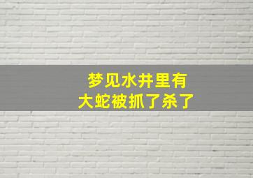 梦见水井里有大蛇被抓了杀了