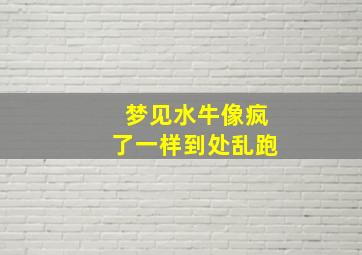 梦见水牛像疯了一样到处乱跑