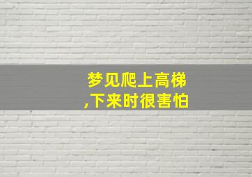 梦见爬上高梯,下来时很害怕