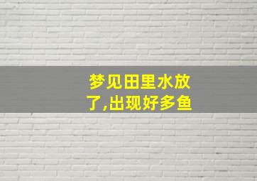 梦见田里水放了,出现好多鱼