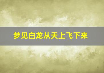 梦见白龙从天上飞下来