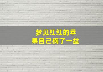 梦见红红的苹果自己摘了一盆