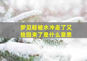 梦见鞋被水冲走了又捡回来了是什么意思