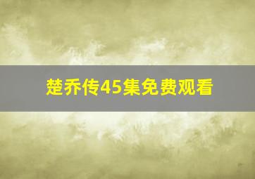 楚乔传45集免费观看