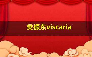 樊振东viscaria