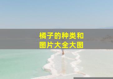 橘子的种类和图片大全大图