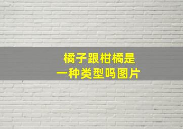 橘子跟柑橘是一种类型吗图片