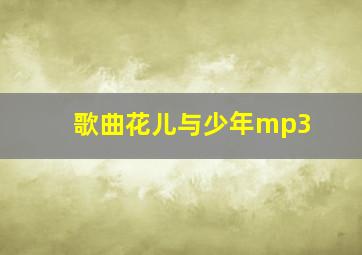 歌曲花儿与少年mp3