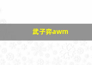 武子弈awm