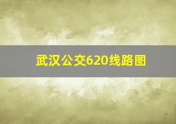 武汉公交620线路图