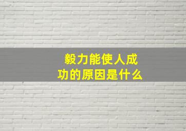 毅力能使人成功的原因是什么