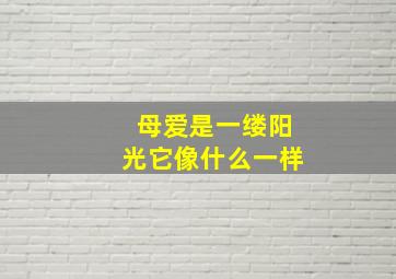 母爱是一缕阳光它像什么一样