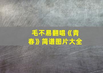 毛不易翻唱《青春》简谱图片大全