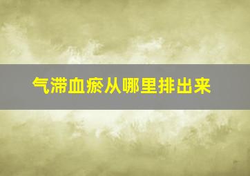 气滞血瘀从哪里排出来