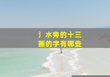 氵水旁的十三画的字有哪些