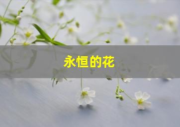 永恒的花