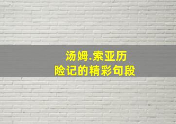 汤姆.索亚历险记的精彩句段