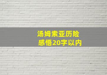 汤姆索亚历险感悟20字以内