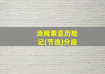 汤姆索亚历险记(节选)分段