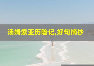 汤姆索亚历险记,好句摘抄