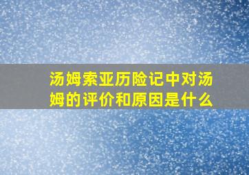 汤姆索亚历险记中对汤姆的评价和原因是什么