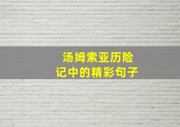 汤姆索亚历险记中的精彩句子