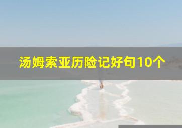 汤姆索亚历险记好句10个