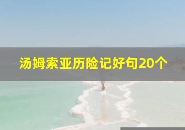 汤姆索亚历险记好句20个