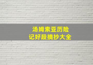 汤姆索亚历险记好段摘抄大全