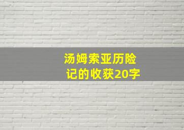 汤姆索亚历险记的收获20字