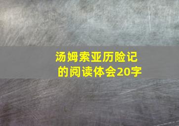 汤姆索亚历险记的阅读体会20字