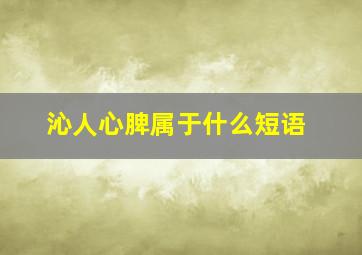 沁人心脾属于什么短语