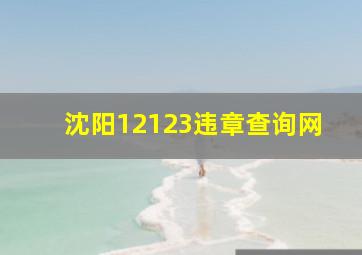 沈阳12123违章查询网