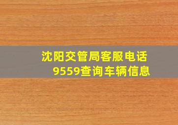 沈阳交管局客服电话9559查询车辆信息