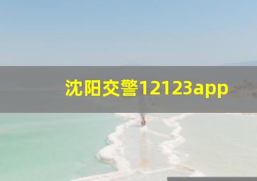 沈阳交警12123app