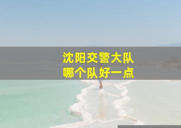 沈阳交警大队哪个队好一点