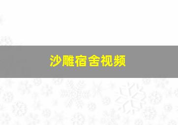 沙雕宿舍视频