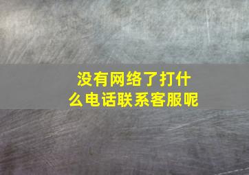 没有网络了打什么电话联系客服呢