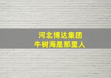 河北博达集团牛树海是那里人