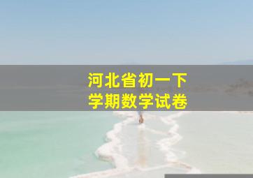 河北省初一下学期数学试卷