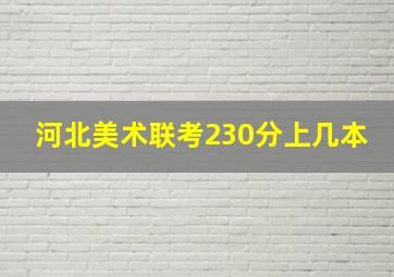 河北美术联考230分上几本