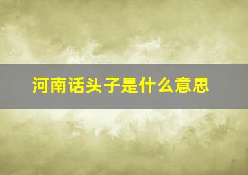 河南话头子是什么意思