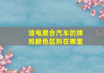 油电混合汽车的牌照颜色区别在哪里