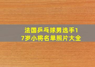 法国乒乓球男选手17岁小将名单照片大全