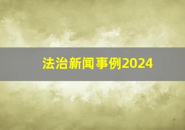 法治新闻事例2024