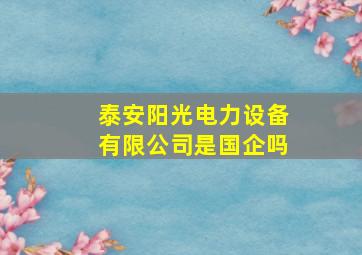 泰安阳光电力设备有限公司是国企吗