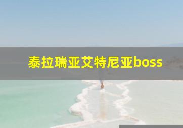 泰拉瑞亚艾特尼亚boss