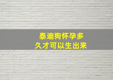 泰迪狗怀孕多久才可以生出来