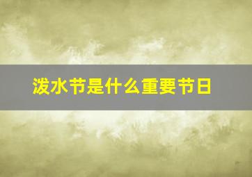 泼水节是什么重要节日