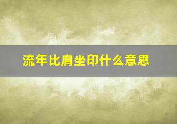 流年比肩坐印什么意思